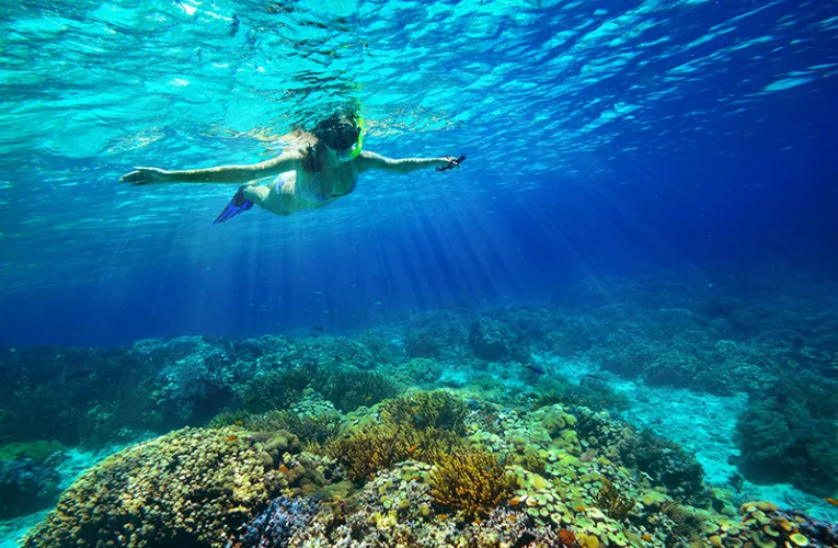 Persona practicando snorkel en arrecifes de Cozumel con peces tropicales y agua transparente.