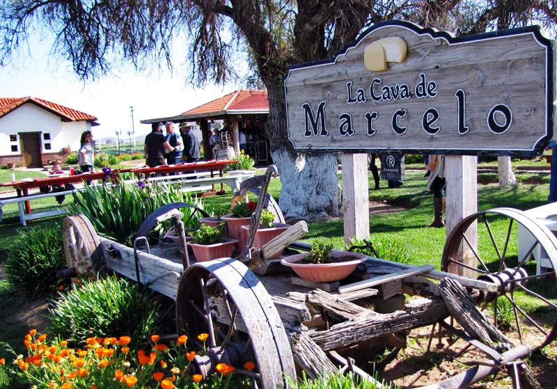 Cava de quesos artesanales en Ensenada — ruta gastronómica Baja California