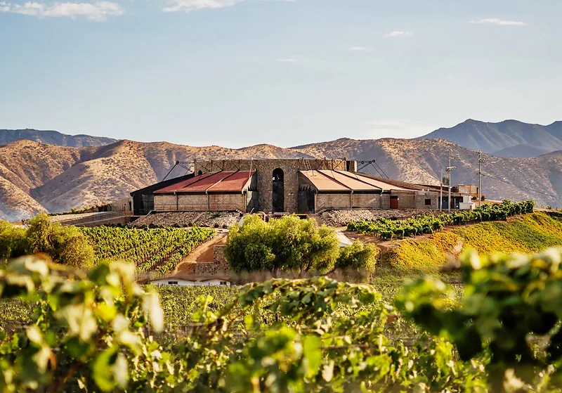 Viñedo Santo Tomás en Ensenada Baja California — tour gastronómico desde Tijuana