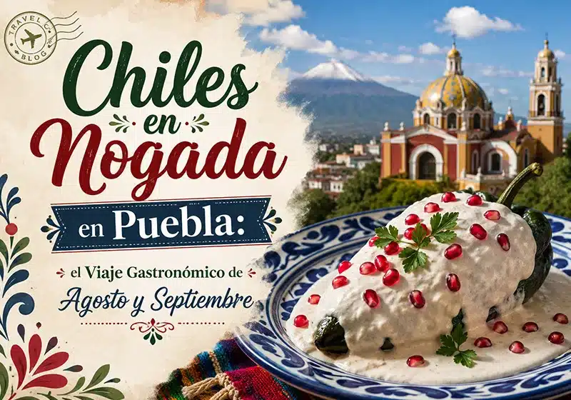 Los chiles en nogada solo se sirven en temporada: agosto y septiembre. Te contamos por qué vale la pena viajar a Puebla desde Tijuana.