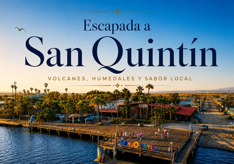 Escapada de 4 días a San Quintín desde Tijuana: volcanes, humedales, campos de pepino y mariscos frescos. Desde $8,650 MXN. Cupo limitado.